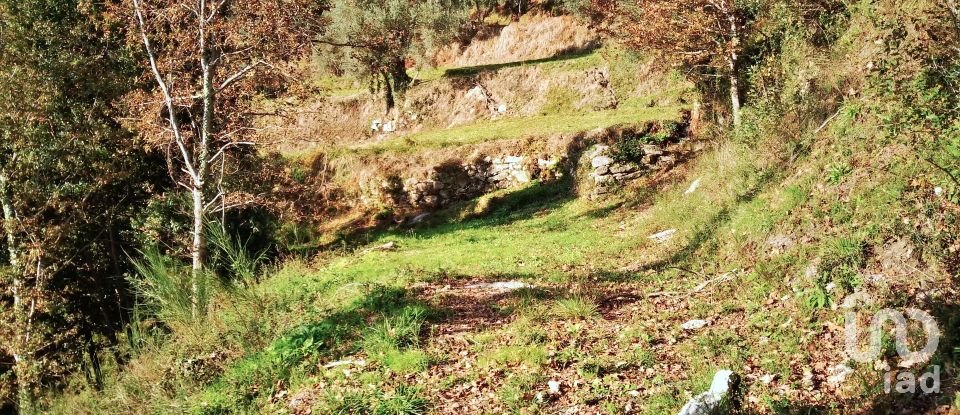 Land in Valdosende of 7,930 m²