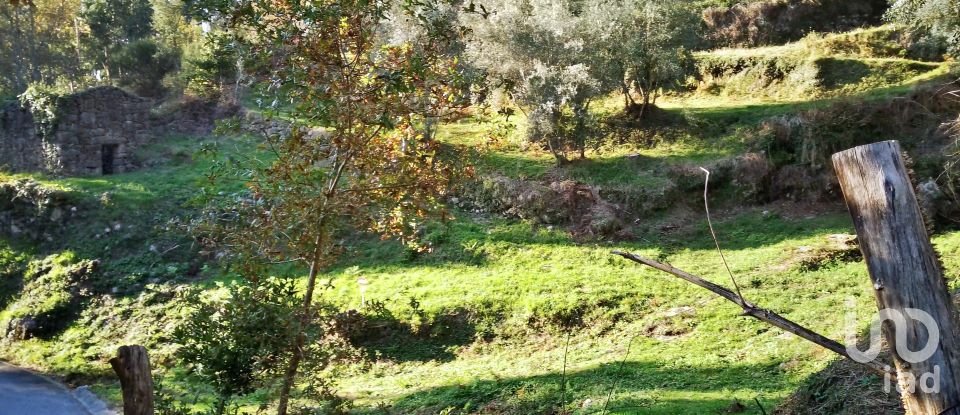 Land in Valdosende of 7,930 m²