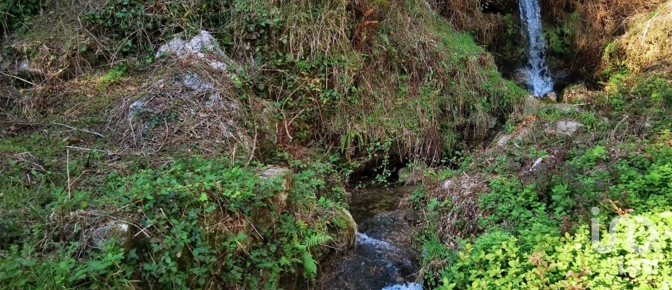 Land in Valdosende of 7,930 m²