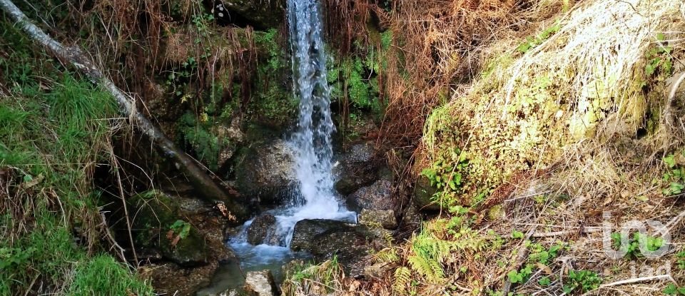 Land in Valdosende of 7,930 m²