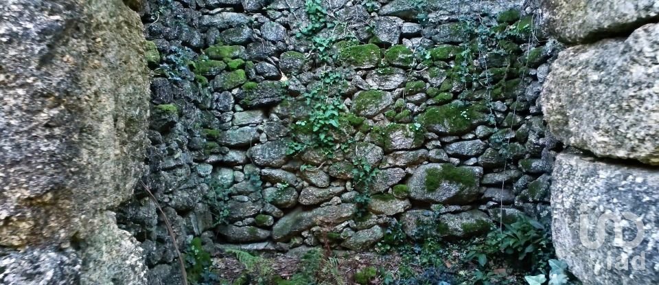 Land in Valdosende of 7,930 m²