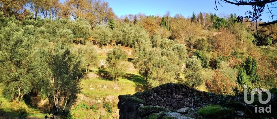 Land in Valdosende of 7,930 m²