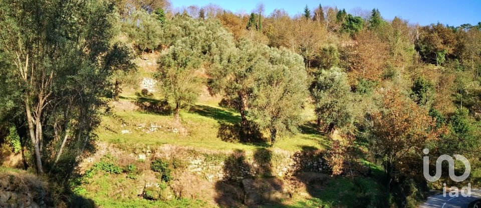 Land in Valdosende of 7,930 m²