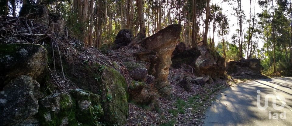 Land in Valdosende of 7,930 m²