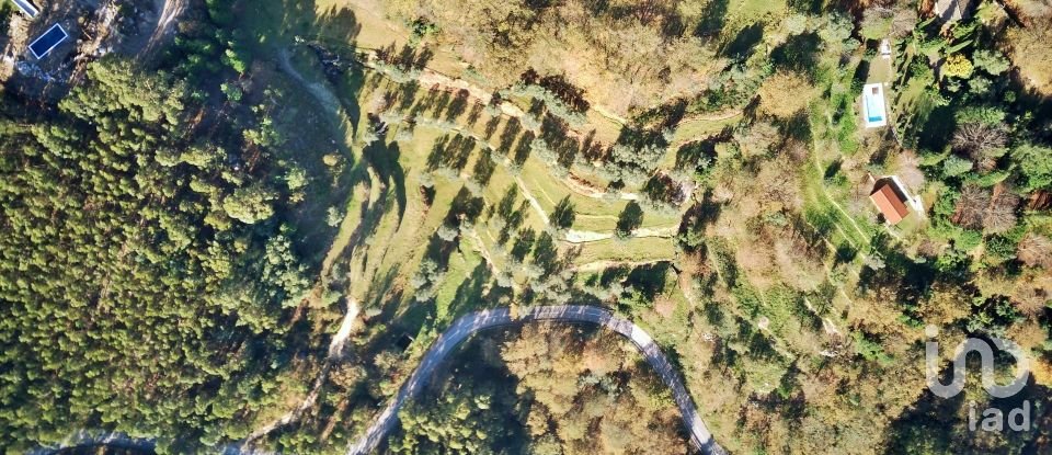 Land in Valdosende of 7,930 m²