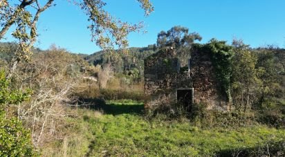 Terrain à bâtir à São Miguel, Santa Eufémia e Rabaçal de 7 007 m²