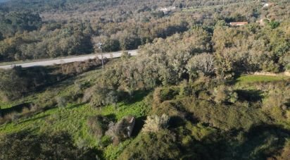 Terrain à bâtir à São Miguel, Santa Eufémia e Rabaçal de 7 007 m²