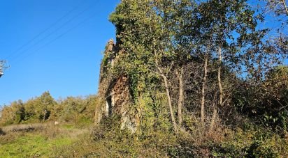 Terrain à bâtir à São Miguel, Santa Eufémia e Rabaçal de 7 007 m²