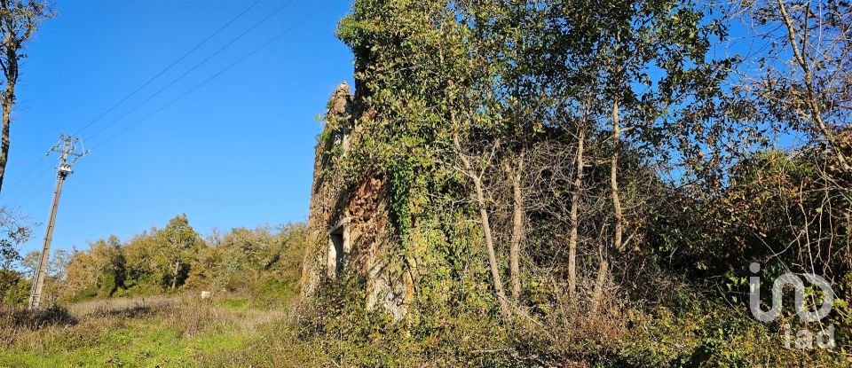 Terrain à bâtir à São Miguel, Santa Eufémia e Rabaçal de 7 007 m²