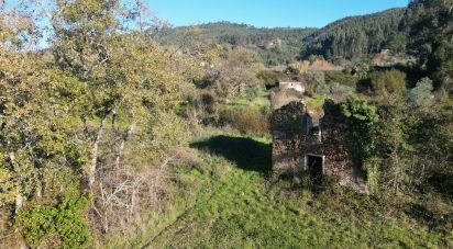 Terrain à bâtir à São Miguel, Santa Eufémia e Rabaçal de 7 007 m²