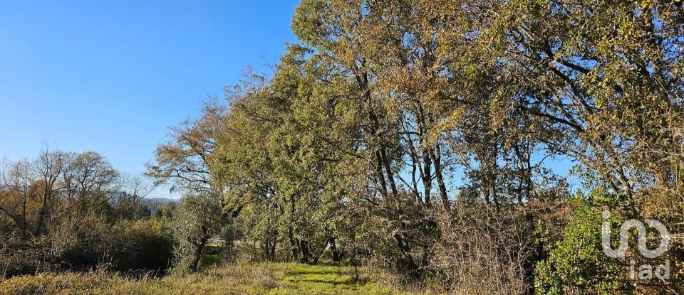 Terrain à bâtir à São Miguel, Santa Eufémia e Rabaçal de 7 007 m²