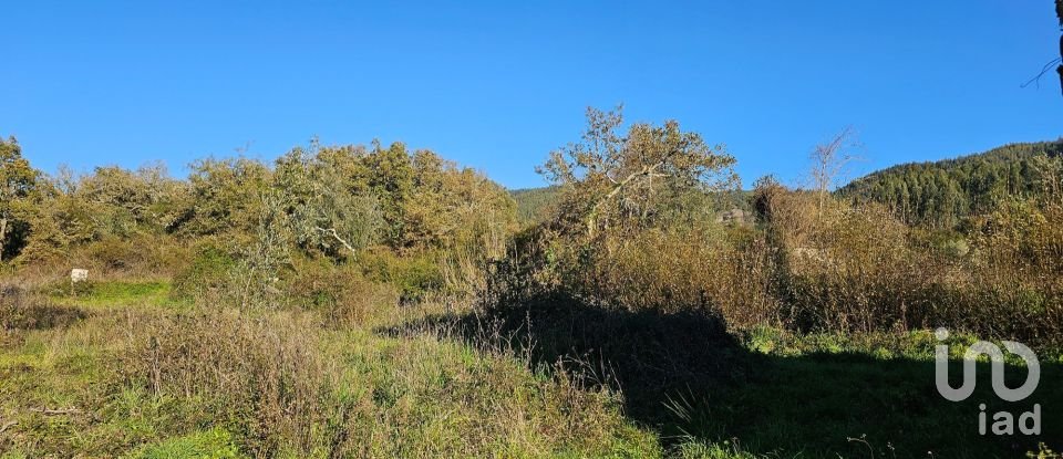 Terrain à bâtir à São Miguel, Santa Eufémia e Rabaçal de 7 007 m²