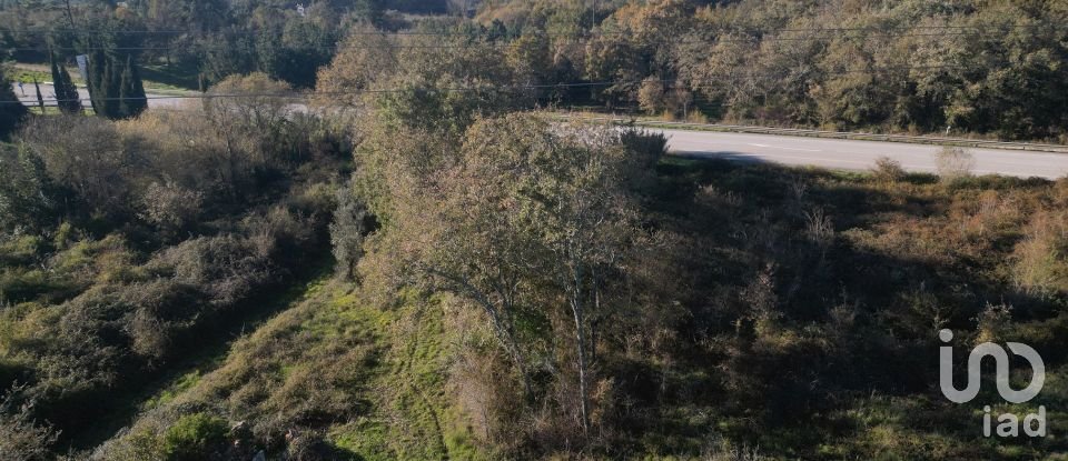 Terrain à bâtir à São Miguel, Santa Eufémia e Rabaçal de 7 007 m²