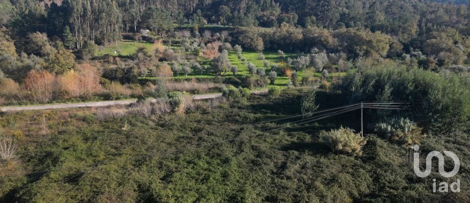Terrain à bâtir à São Miguel, Santa Eufémia e Rabaçal de 7 007 m²