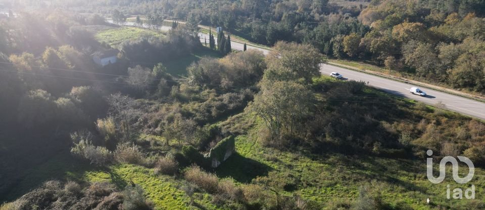 Terrain à bâtir à São Miguel, Santa Eufémia e Rabaçal de 7 007 m²