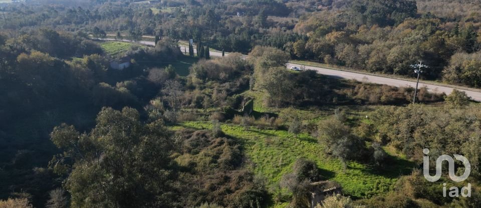 Terrain à bâtir à São Miguel, Santa Eufémia e Rabaçal de 7 007 m²