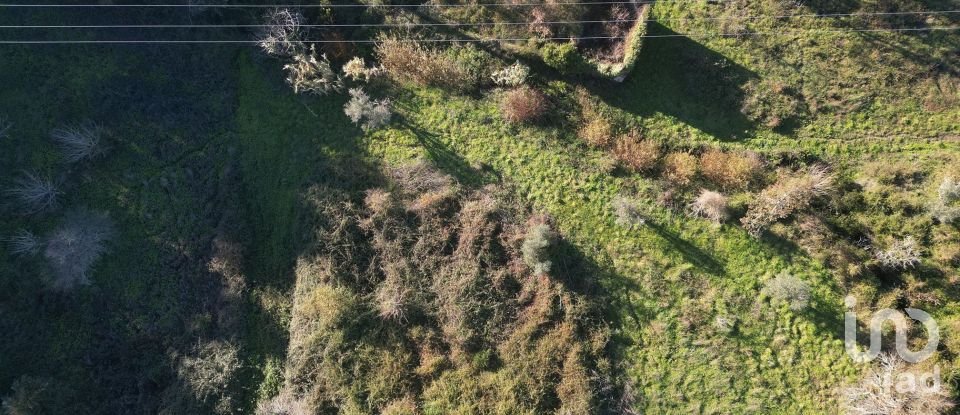 Terrain à bâtir à São Miguel, Santa Eufémia e Rabaçal de 7 007 m²