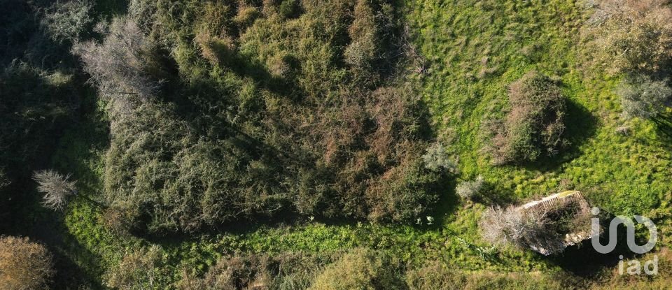 Terrain à bâtir à São Miguel, Santa Eufémia e Rabaçal de 7 007 m²