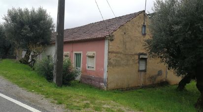 Maison de village T3 à Pussos são pedro de 52 m²
