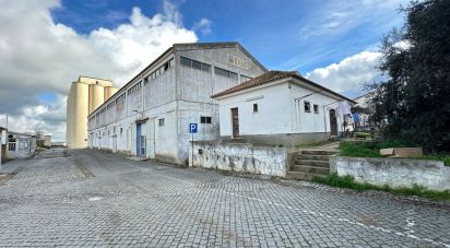 Prédio em Aljustrel e Rio de Moinhos de 7 214 m²