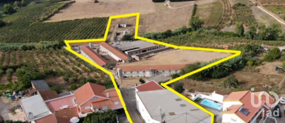 Farm T4 in Lamas e Cercal of 223 m²