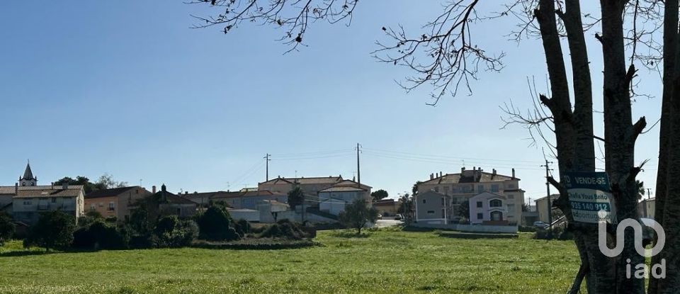 Land in Calvaria de Cima of 23,780 m²