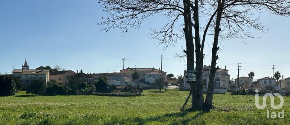 Land in Calvaria de Cima of 23,780 m²