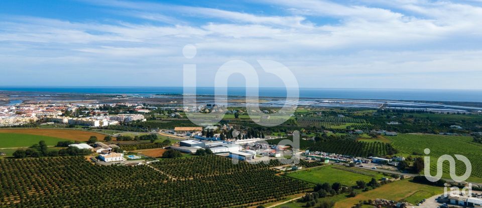 Maison T12 à Tavira (Santa Maria e Santiago) de 955 m²