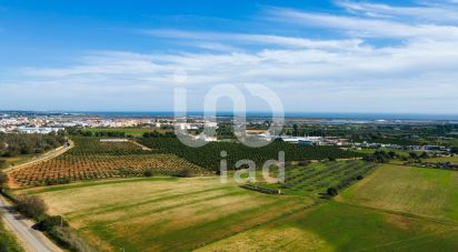 Moradia T12 em Tavira (Santa Maria e Santiago) de 955 m²