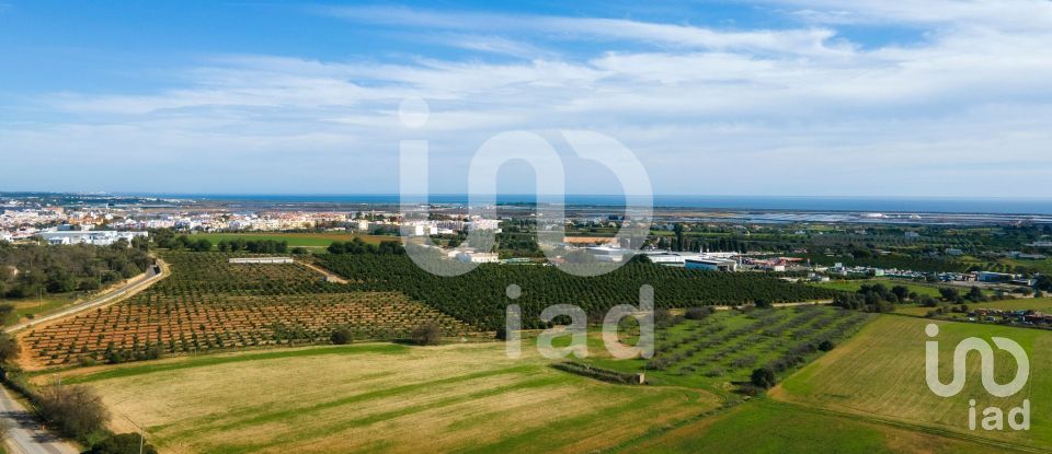 Maison T12 à Tavira (Santa Maria e Santiago) de 955 m²
