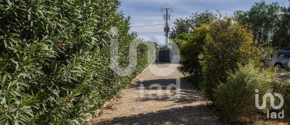 Maison T12 à Tavira (Santa Maria e Santiago) de 955 m²