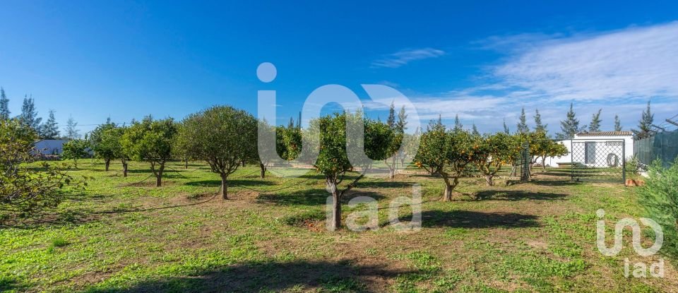 Maison T12 à Tavira (Santa Maria e Santiago) de 955 m²
