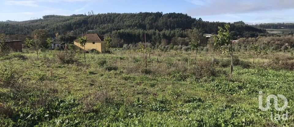 Terrain à Águas Belas de 79 880 m²