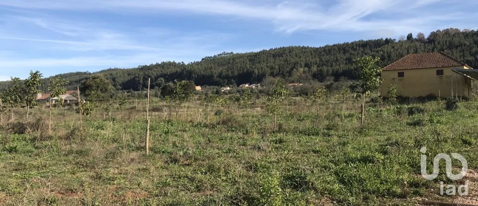 Terrain à Águas Belas de 79 880 m²