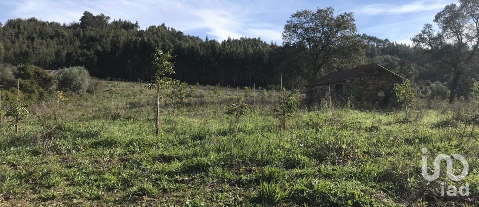 Terrain à Águas Belas de 79 880 m²