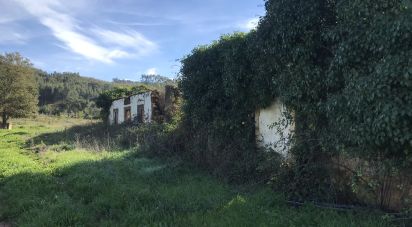 Terrain à Águas Belas de 79 880 m²