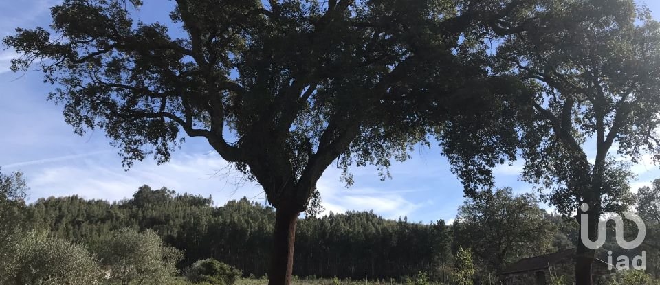 Terrain à Águas Belas de 79 880 m²