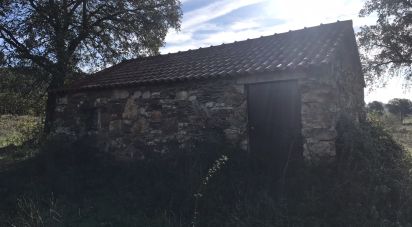 Terrain à Águas Belas de 79 880 m²