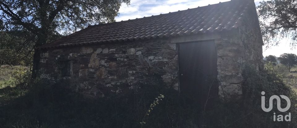 Terrain à Águas Belas de 79 880 m²