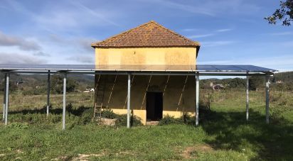 Terrain à Águas Belas de 79 880 m²