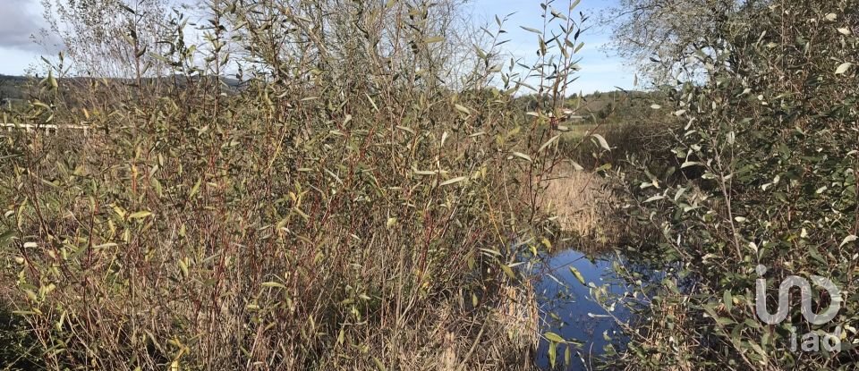 Terrain à Águas Belas de 79 880 m²