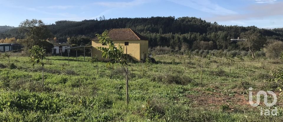 Terrain à Águas Belas de 79 880 m²