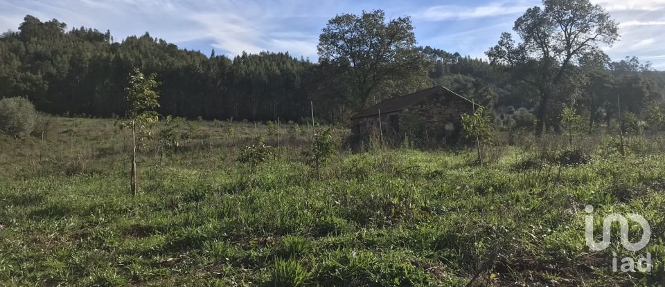 Terrain à Águas Belas de 79 880 m²