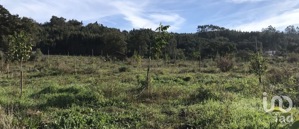 Terrain à Águas Belas de 79 880 m²