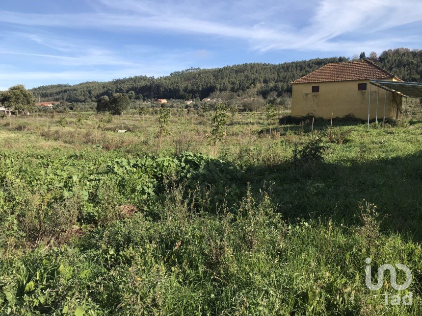 Terrain à Águas Belas de 79 880 m²