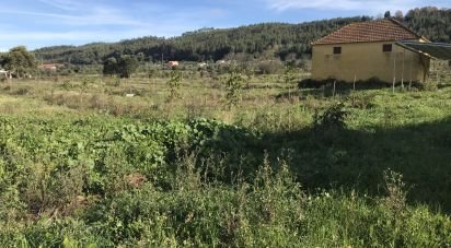 Terrain à Águas Belas de 79 880 m²