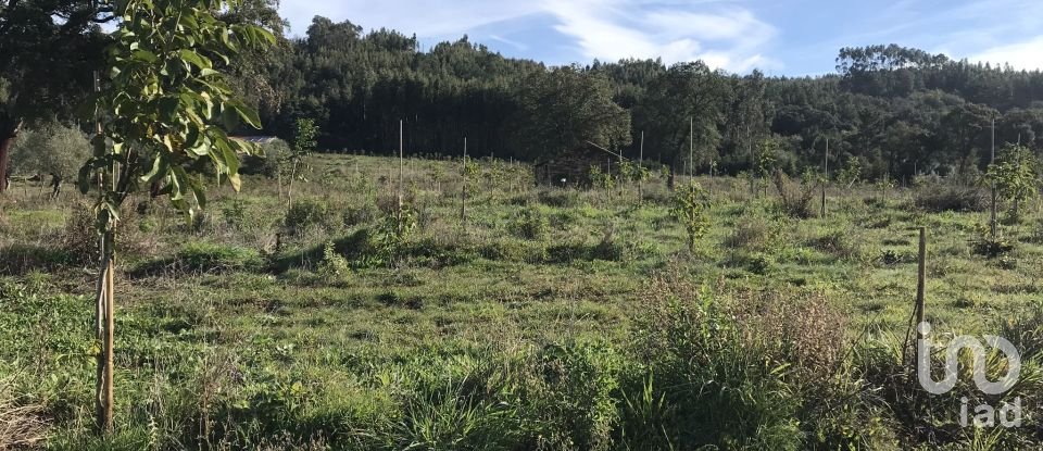 Terrain à Águas Belas de 79 880 m²