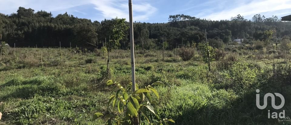 Terrain à Águas Belas de 79 880 m²