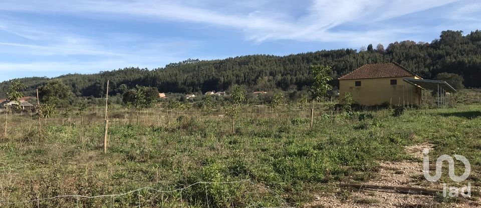 Terrain à Águas Belas de 79 880 m²