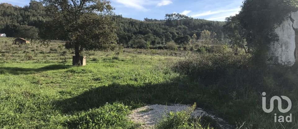 Terrain à Águas Belas de 79 880 m²